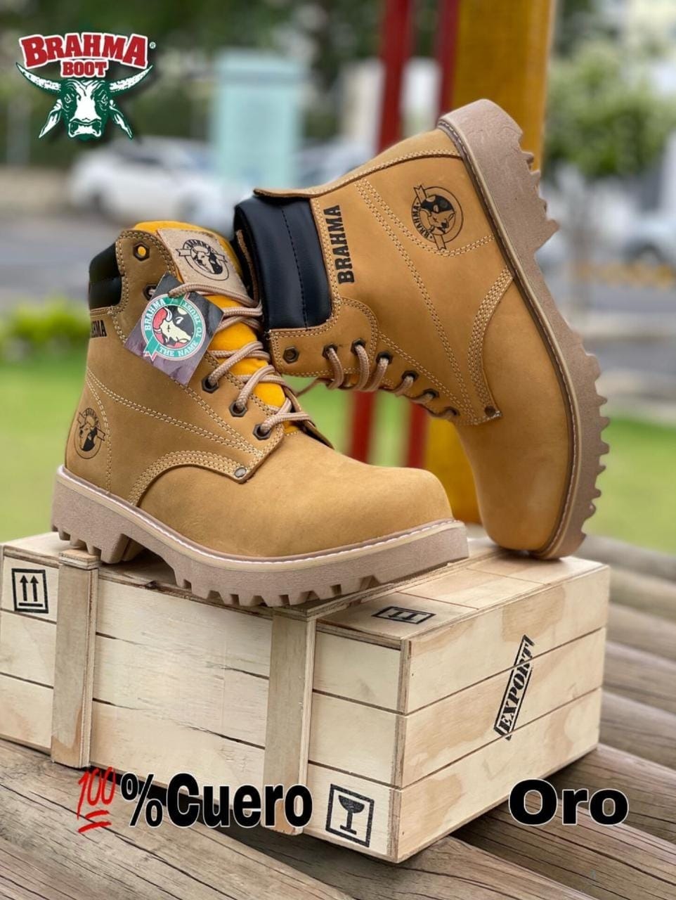 Mastershop Product Image
